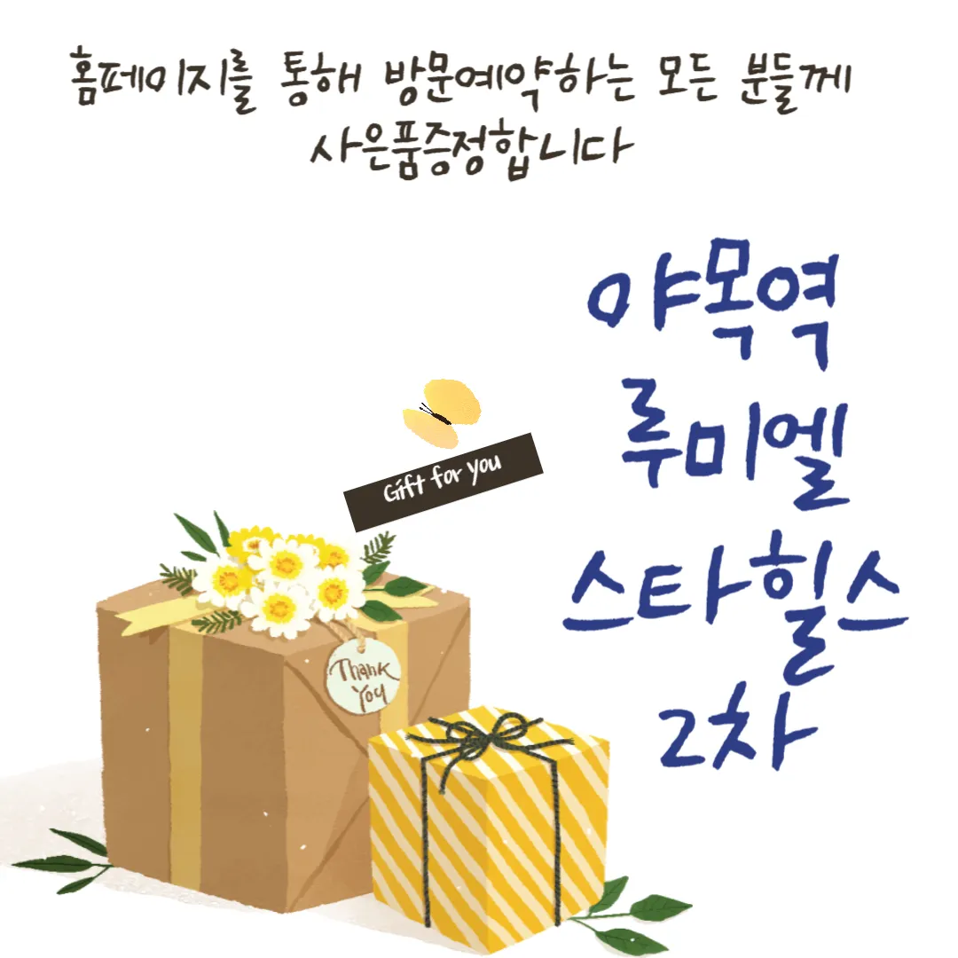 야목역루미엘스타힐스2차사은품